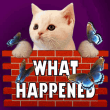 What Happened What Occurred GIF - What Happened What Occurred What Took Place GIFs