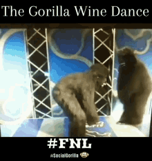 fnl gorilla wine dance gorilla gan social gorilla