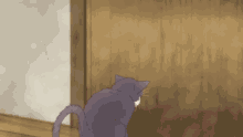 cat scratch