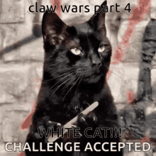Claw Wars Part4 Challenge Acceptedscene GIF - Claw Wars Part4 Challenge Acceptedscene Black Cat GIFs