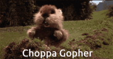 choppa gopher dance cute choppa gopher