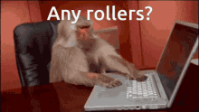 Any Rollers Mudae Any Rollers GIF - Any Rollers Mudae Any Rollers GIFs