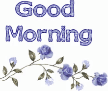 Good Morning Flowers GIF - Good Morning Flowers Shining GIFs