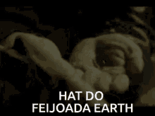 Feijoadaearth Hat GIF - Feijoadaearth Hat GIFs