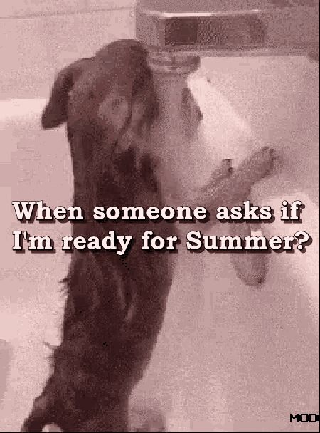 Ready For Summer Are You Ready For Summer Gif Ready For Summer Are You Ready For Summer When Someone Asks Discover Share Gifs
