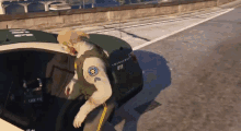 penta dabboi randy wrangler dog animal abuse
