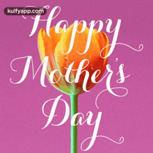 Happy Mothers Day Wishes - Tulip.Gif GIF - Happy Mothers Day Wishes - Tulip Mothers Day Moms Day GIFs