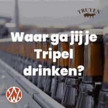 Waar Ga Jij Je Tripel Drinken Factory GIF - Waar Ga Jij Je Tripel Drinken Factory Truyen GIFs