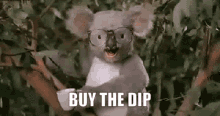Koala Buy The Dip GIF - Koala Buy The Dip Punch GIFs