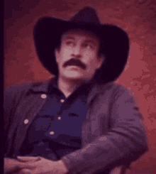 desperado shrug i dont know quien sabe i have no idea desperado shrug i dont know quien sabe i have no idea