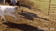 Run For It The Cowboy Way GIF - Run For It The Cowboy Way Cattle On The Loose GIFs