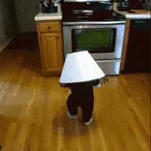 My Day In Sum Funny GIF - My Day In Sum Funny Baby GIFs