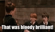 Ron Weasley Bloody Brilliant GIF - Ron Weasley Bloody Brilliant Harry Potter GIFs