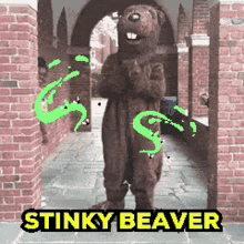 stinky beaver