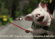 chancho cuarentena pig happy wind mill