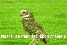 Report Cheater GIF - Report Cheater Hacker GIFs
