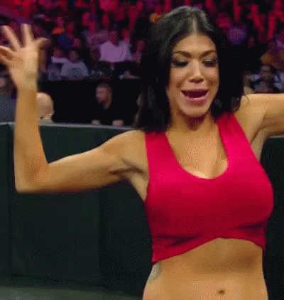 Wwe Rosa Mendes Nude