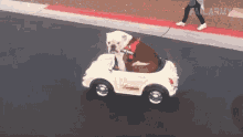 Driving Car Cute GIF - Driving Car Cute Dog GIFs