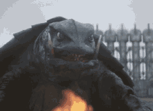Gamera Turtle GIF - Gamera Turtle Kaiju GIFs