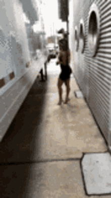 taynara taynara conti taynara hpw taynara whf