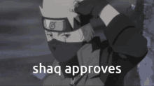 Shaq Approves Approval GIF - Shaq Approves Approval Shaq GIFs