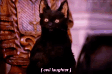 [evil Laughter] GIF - Sabrina The Teenage Witch Salem The Cat Evil Laugh GIFs