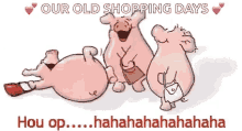 Laughing Pig GIF - Laughing Pig GIFs