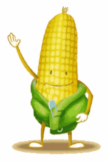 new corn