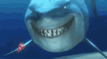 Food Shark GIF - Food Shark Nemo GIFs