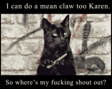 Shout Out Cat GIF - Shout Out Cat Mean Claw GIFs
