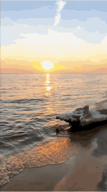 Pichuka Sunset GIF - Pichuka Sunset Beach GIFs