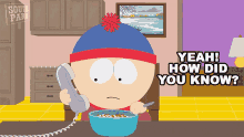 Yeah How Did You Know Stan Marsh GIF - Yeah How Did You Know Stan Marsh South Park GIFs