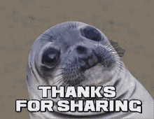 Thanks For Sharing Seal You Later GIF - Thanks For Sharing Seal You Later See You Later GIFs