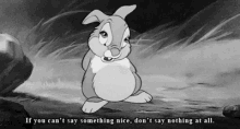 Thumper Cant Say Something Nice GIF - Thumper Cant Say Something Nice GIFs
