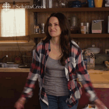 How Are Things Emily Hampshire GIF - How Are Things Emily Hampshire Stevie GIFs