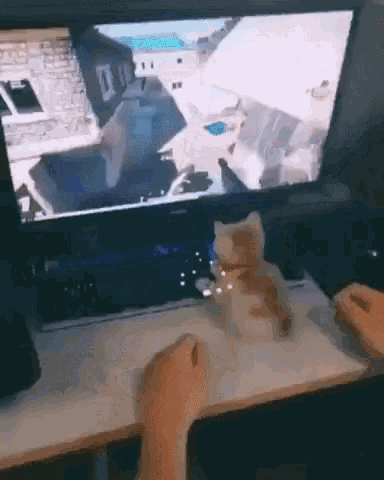kitten-videogame.gif