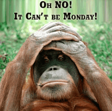 Oh No GIF - Oh No Monday GIFs