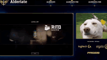 alderiate rito game streaming dog alderiate rito game streaming dog