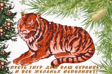 2022 Tiger GIF - 2022 Tiger тигр GIFs