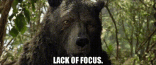 Baloo Lack Of Focus GIF - Baloo Lack Of Focus Focus GIFs