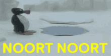 Noort Noort Noot Noot GIF - Noort Noort Noot Noot Pingu GIFs