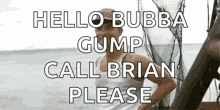 Hello Bubba Gump Call Brian Please GIF - Hello Bubba Gump Call Brian Please Forrest Gump GIFs