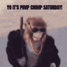 Chimp Monkey GIF - Chimp Monkey Monke GIFs
