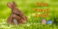 Felice Pasqua GIF - Felice Pasqua Amici GIFs