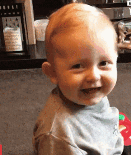 Cookies Baby Gif Cookies Baby Laugh Discover Share Gifs