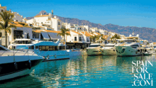 take me to banus banus meme puerto banus banus marbella banus gif take me to banus banus meme puerto banus banus marbella banus gif