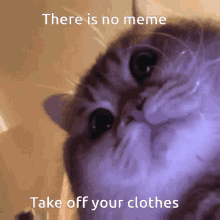 Clothes Meme GIF - Clothes Meme GIFs