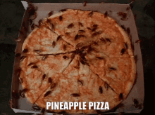 Pineapple Pizza Pineapple GIF - Pineapple Pizza Pineapple Cheese GIFs