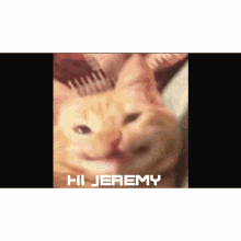 Jeremy Hijeremy GIF - Jeremy Hijeremy Hi GIFs