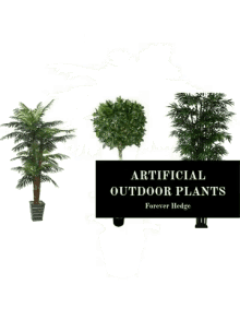 Artificial Outdoor Plants Fake Indoor Plants GIF - Artificial Outdoor Plants Fake Indoor Plants Fake Greenery GIFs